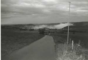orsfeld_1994