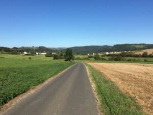 orsfeld_2016